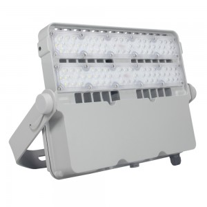 100W LED Flood light