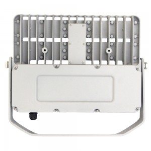 100W LED Flood light