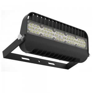 50W LED Flood light