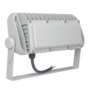 50W LED Flood light