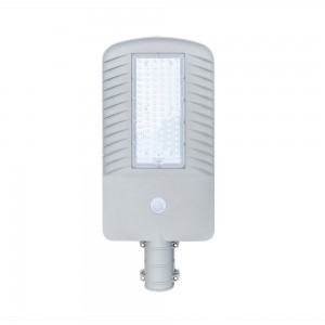 60W 2 in 1 Solar LED Street Light