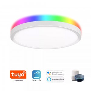 Smart WIFI+BLE Ceiling Panel light