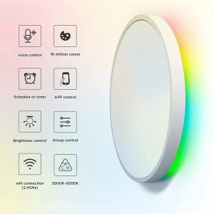 Smart WIFI+BLE Ceiling Panel light