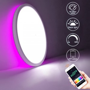 Smart WIFI+BLE Ceiling Panel light