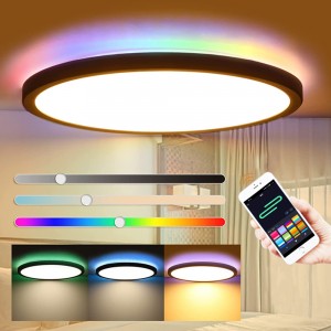 Smart WIFI+BLE Ceiling Panel light